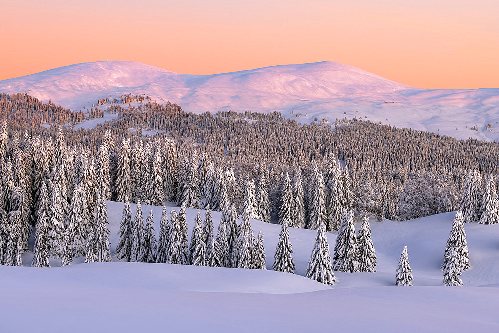 The Hautes Combes at dusk, in the background : the Jura Mountains, Jura, France