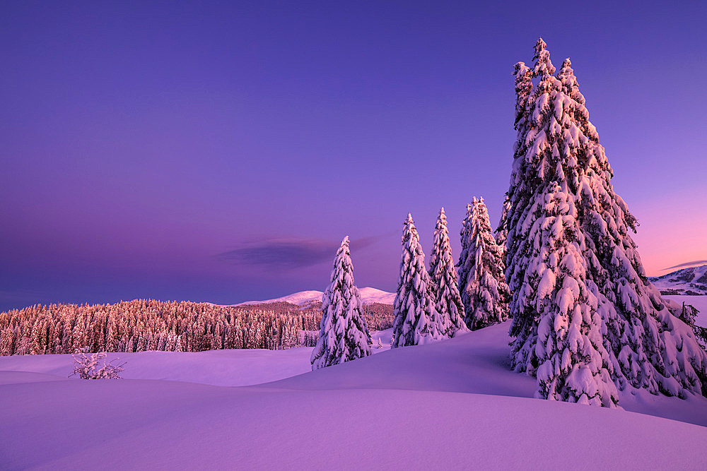 The Hautes Combes, in the background : the Jura Mountains, Jura, France