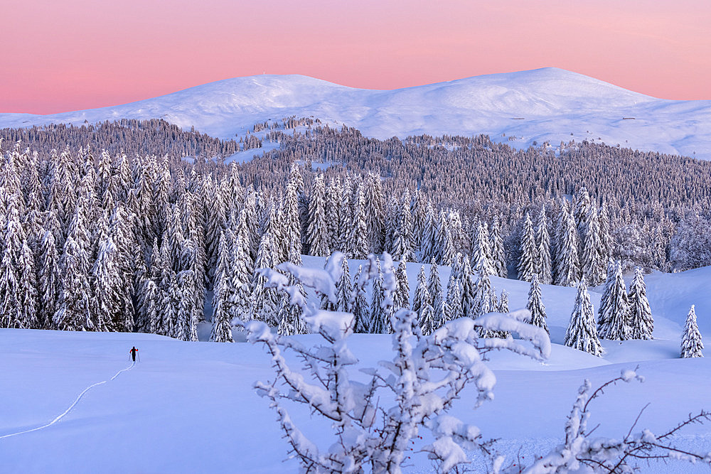 The Hautes Combes, Nordic skiing, in the background: the Jura Mountains, Jura, France