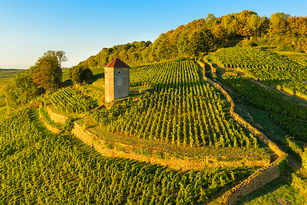 Arbois and its AOC vineyards, Arbois, Jura, France