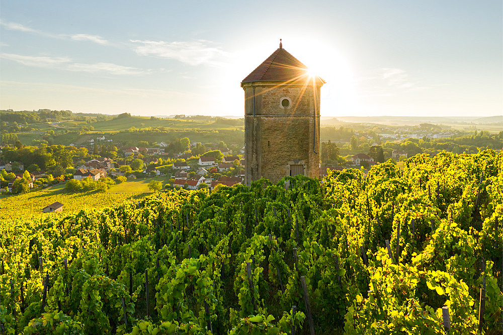 Arbois and its AOC vineyards, Arbois, Jura, France