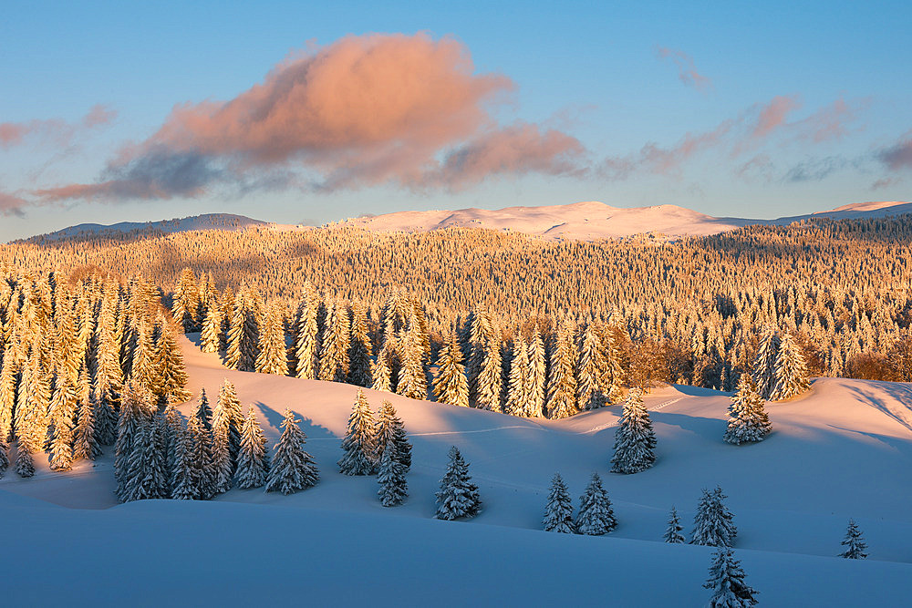 The Hautes-Combes and Monts Jura in winter, Jura, France