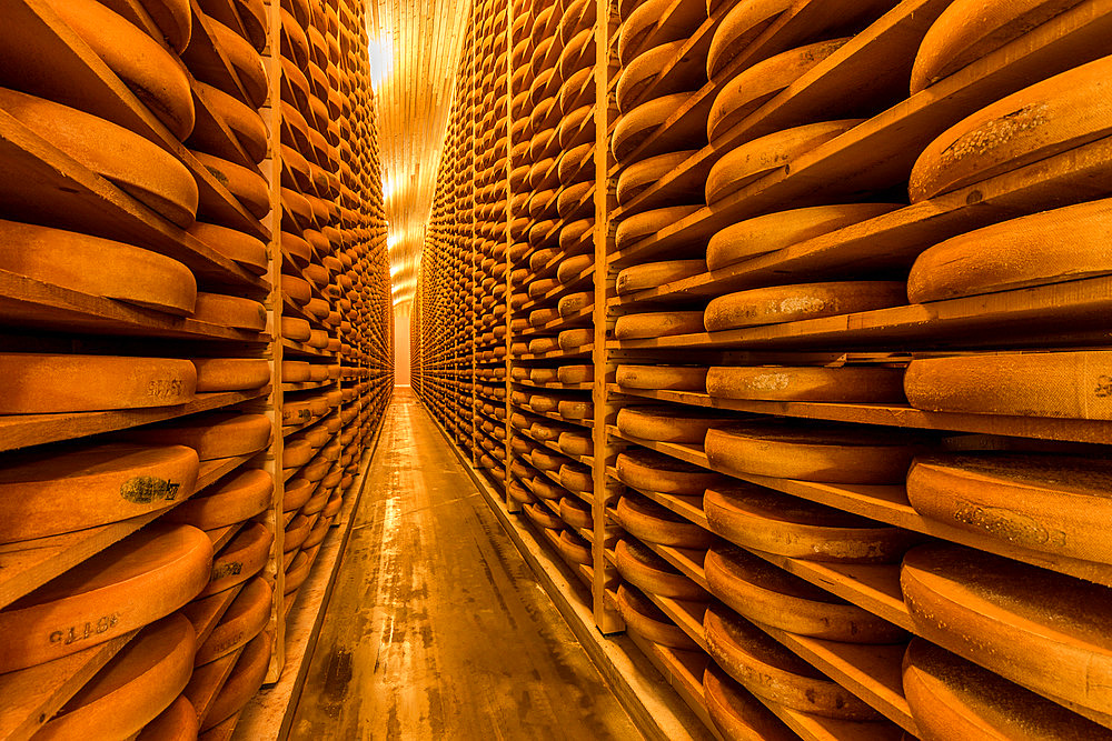 Comte cheeses, Maturing cellar, Jura, France