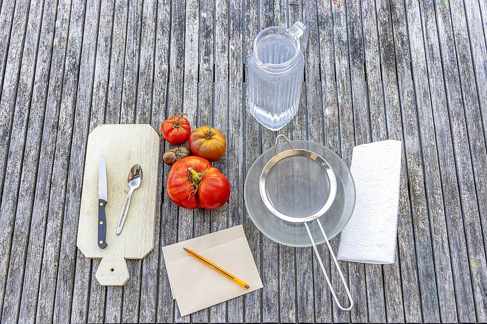 Harvesting seeds of old variety tomatoes 'Coeur de boeuf' and 'Noire de Crimee