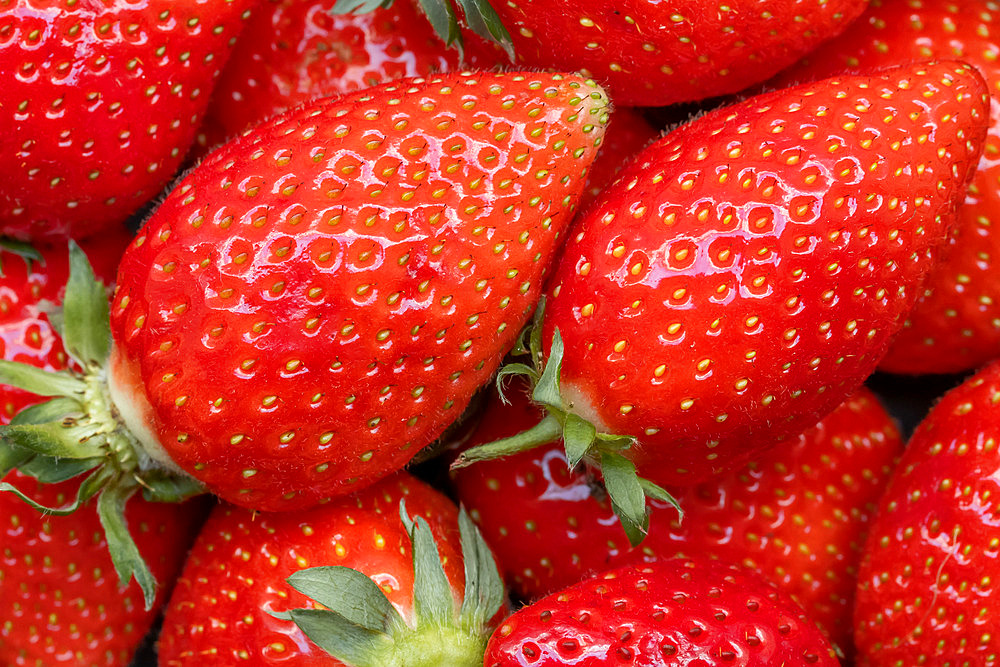 Strawberries 'Ciflorette'