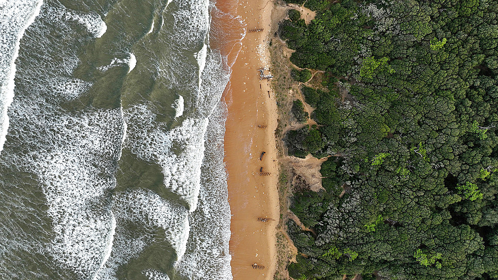 Oleron coastline, Atlantic Ocean, beach and forest, Charente-Maritime, France