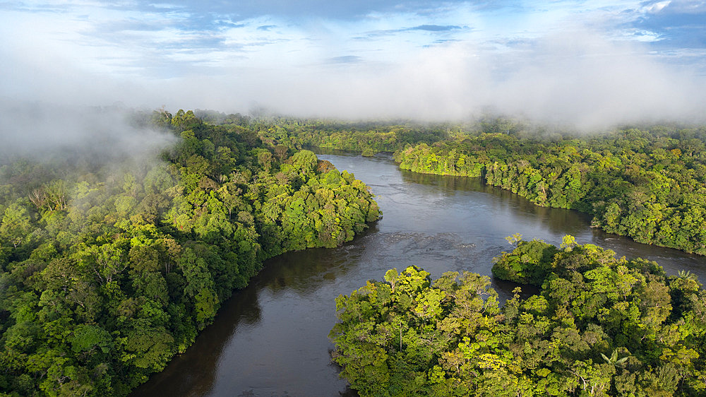 Drone view of the Amazon rainforest, Approuage River, French Guiana