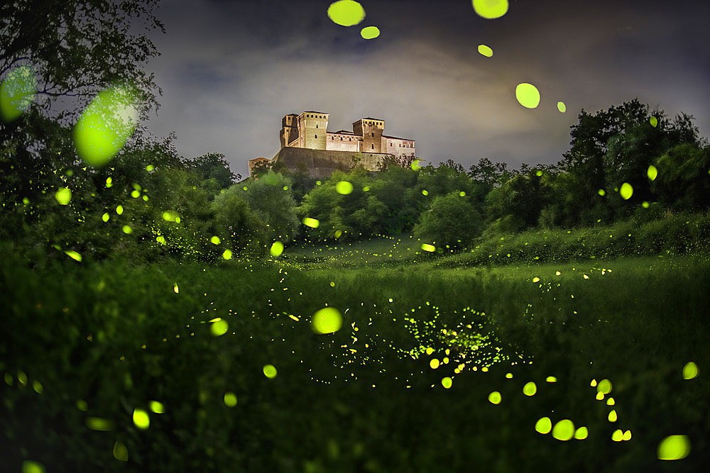 Fireflies in front of Torrechiara Castle, Parma, Italy