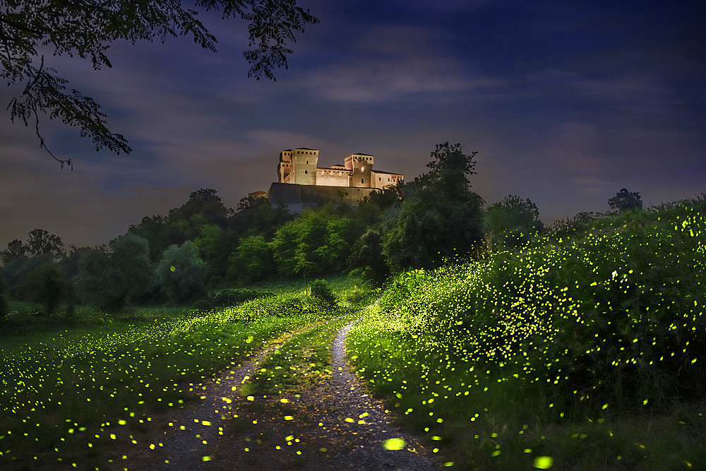 A multitude of fireflies in front of Torrechiara Castle, Parma, Italy