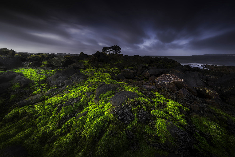 Pointe du Château, Logonna-Daoulas, Finistere, Brittany, France