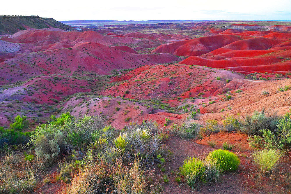 Petrified Forest National Park encompasses the Painted Desert known for its colorful lands. Arizona. USA.