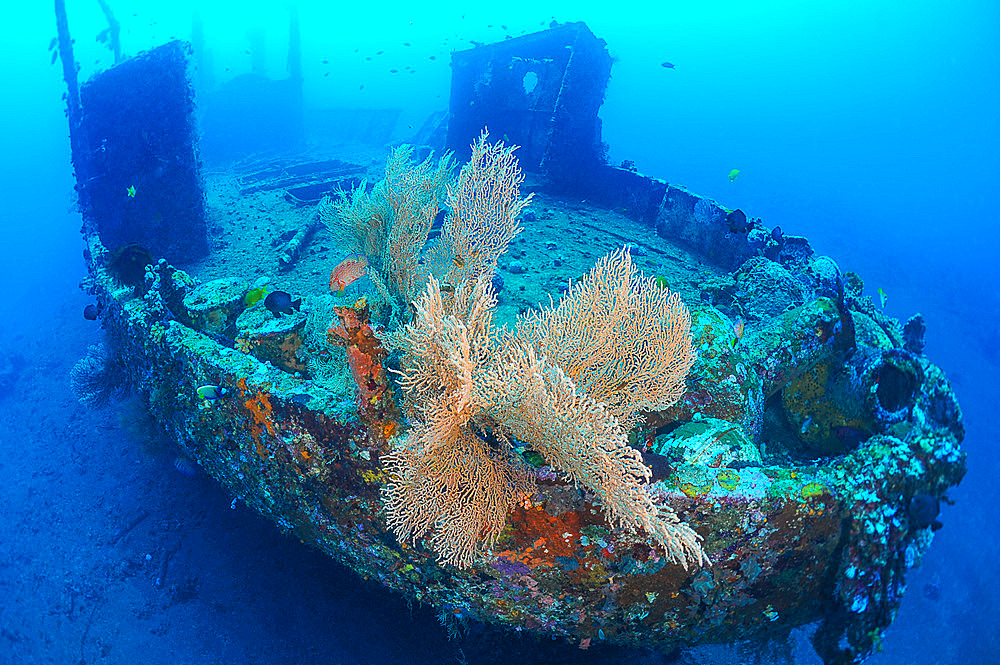 Wreck of the Boga, patrol vessel used by the Indonesian government voluntarily sunk in September 2012, to provide additional wreckage for diving in the area to become an artificial reef and allow diving to develop in Kubu. The wreck now lies between 13 and 31m, with the bow just a few fin strokes from the shore. The current can be strong at this site. Tulamben, Bali, Indonesia.