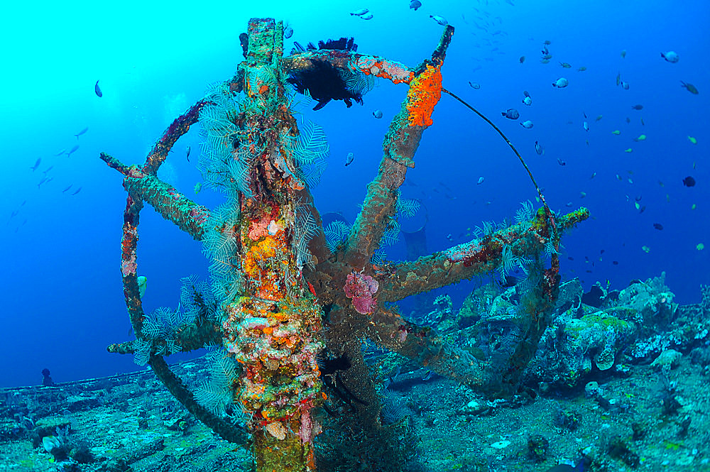 Wreck of the Boga, patrol vessel used by the Indonesian government voluntarily sunk in September 2012, to provide additional wreckage for diving in the area to become an artificial reef and allow diving to develop in Kubu. The wreck now lies between 13 and 31m, with the bow just a few fin strokes from the shore. The current can be strong at this site. Tulamben, Bali, Indonesia.