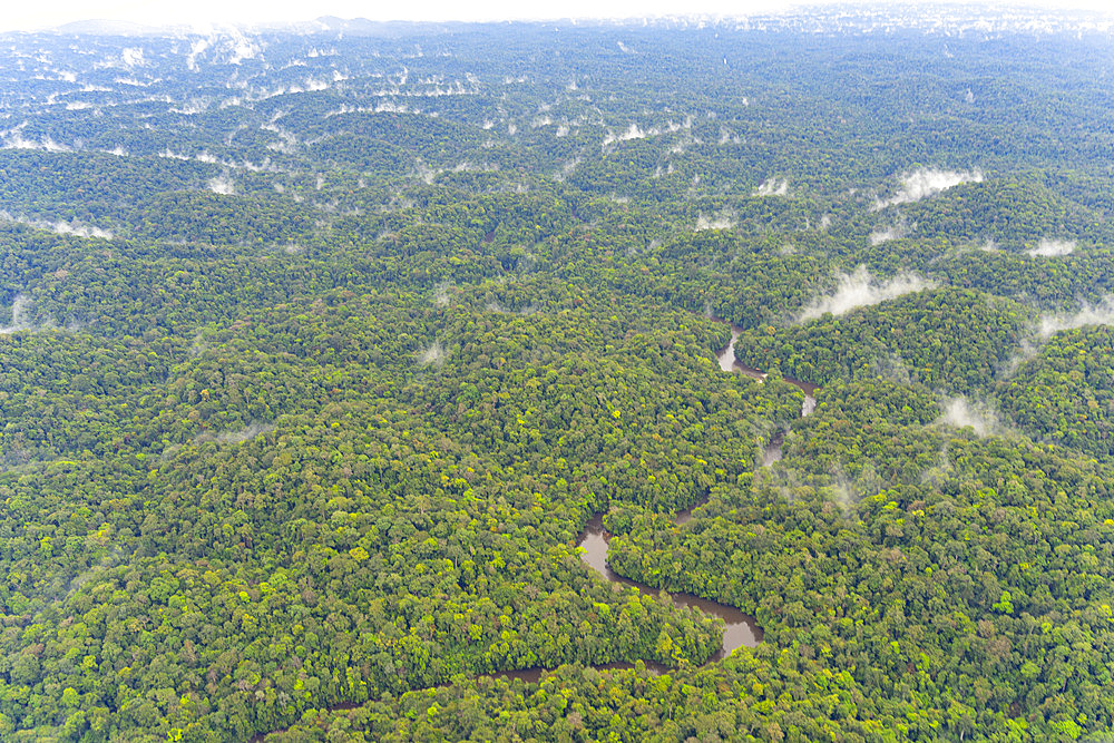 River in the Amazon rainforest. Shot from the air, after the rain, a few evapotranspiration clouds float over this immense, dense forest as far as the eye can see - French Guiana