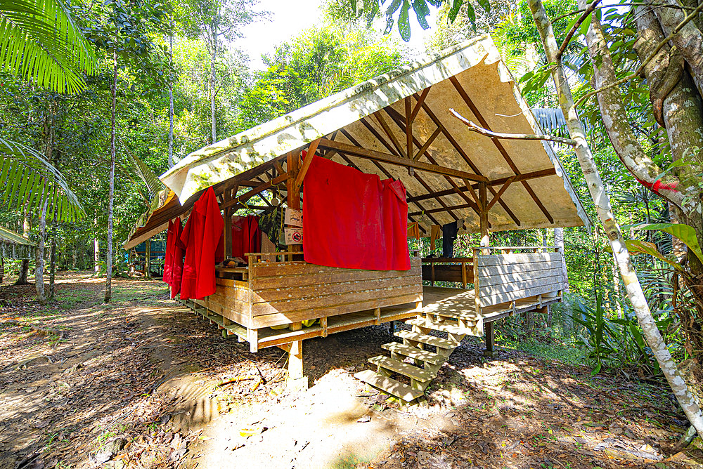 Camp inselberg, scientific station in the Nouragues nature reserve. Sleeping area in the "carbets", here everyone sleeps in hammocks, nothing better in the rainforest - Regina, French Guiana.