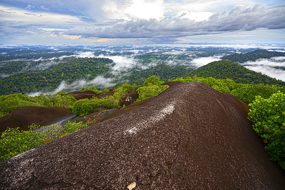 View from the Inselberg in the Nouragues nature reserve. View of the entire forest and canopy from the top of the inselberg. Inselbergs, also known as "rock savannahs" in French Guiana, can also be large, more or less flat expanses of bare granite - Regina, French Guiana.