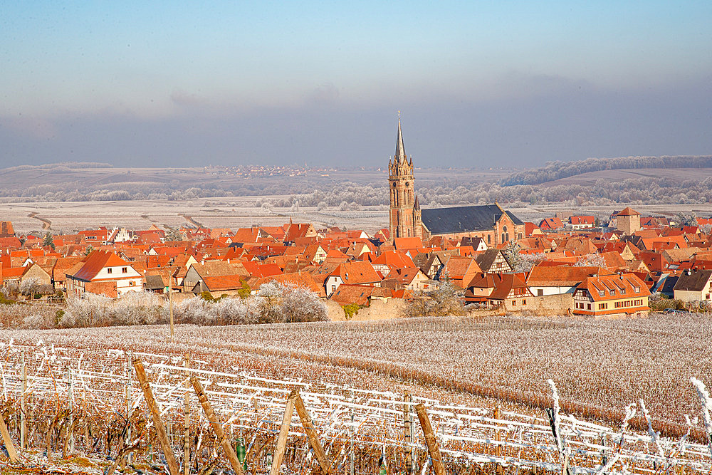 Village of Dambach-la-Ville and frosted vines, Bas-Rhin, Alsace, France