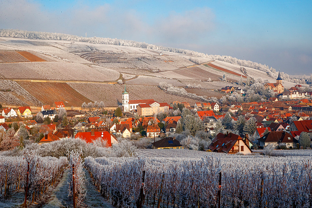 Village of Barr and frosted vines in mist, Bas-Rhin, Alsace, France