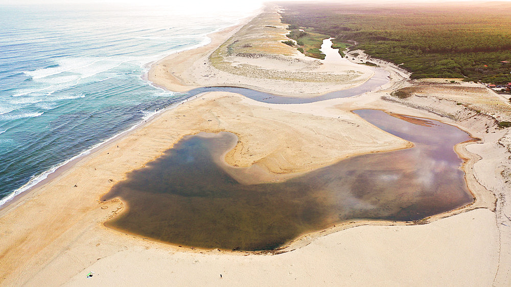 Huchet Current Nature Reserve and Dunes-du-Sud State Forest, Moliets Beach, Landes, Nouvelle Aquitaine, France