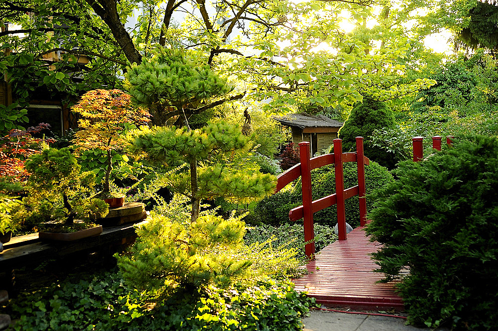 Japanese garden at the Jardin des Cotons in Alsace, France