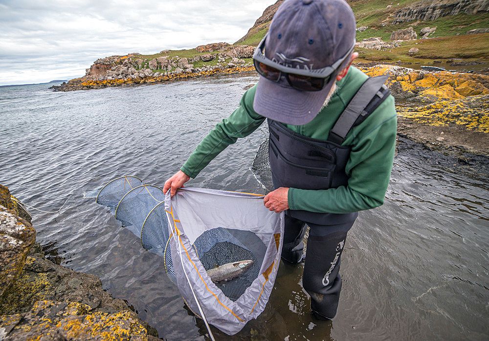 A salmon trout was caught. A salmon trout has been caught. Irish Bay, Kerguelen Archipelago.
