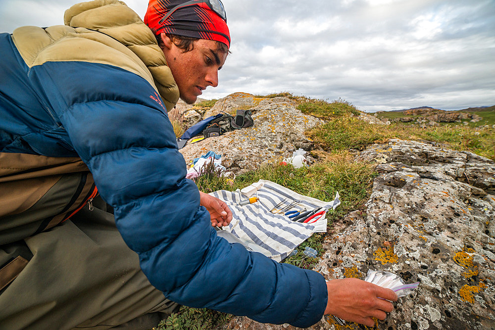 Preparing the trout marking workshop. Irish Bay, Kerguelen Archipelago.