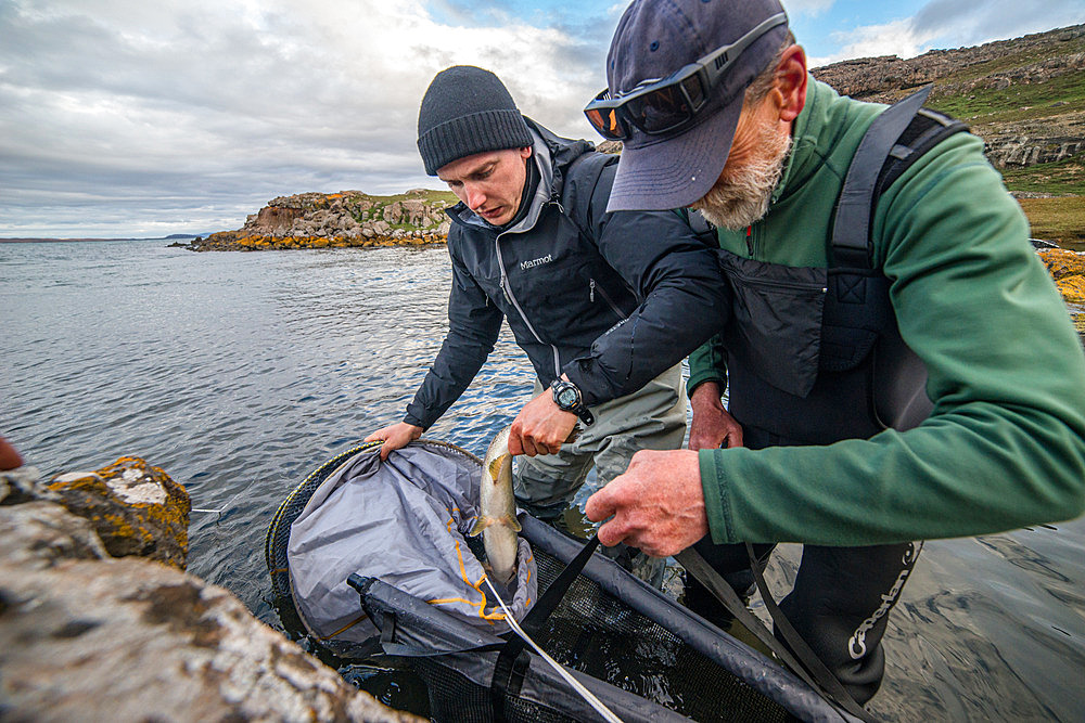 Trout recovery. Preparation of the trout marking workshop. Irish Bay, Kerguelen Archipelago.