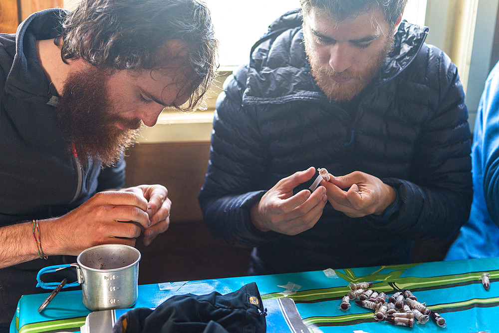 Labeling blood samples. Two scientists label the king penguin blood samples they have collected during the day, before storing them at low temperature. Kerguelen Islands