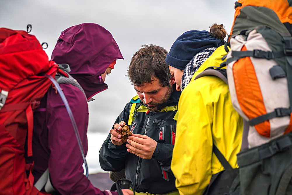Three volunteer scientists examine an insect on a rock. The insect is Disker tenuicornis, a weevil described in the 1940s but not collected since the 1990s. Around Lac d'Armor, Grande Terre, Kerguelen archipelago.