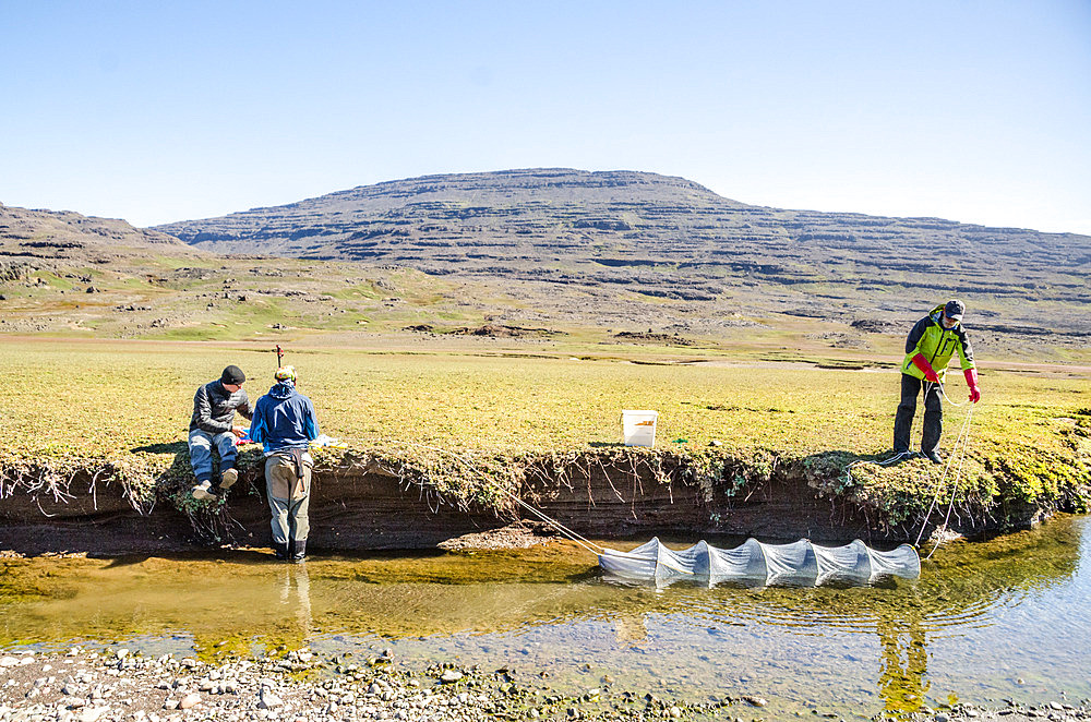 Installation of the workshop. Juvenile trout fishing workshop, to perpetuate genetic monitoring since the introduction of trout. Kerguelen Archipelago.