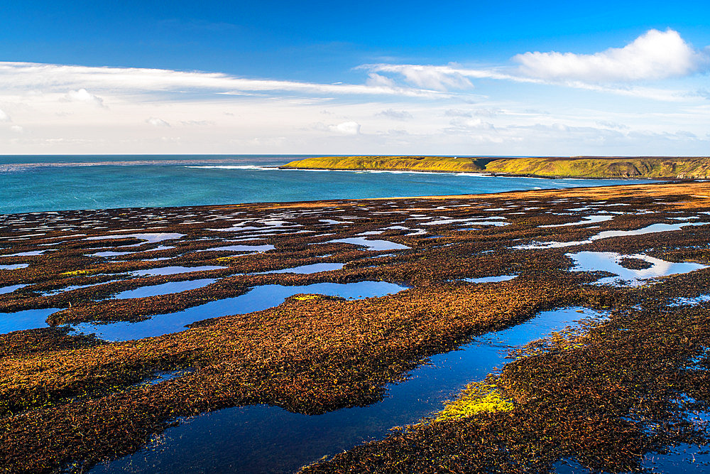 In the distance, the Cap Noir hut. In the foreground, highly marshy terrain. Courbet Peninsula, Kerguelen archipelago.