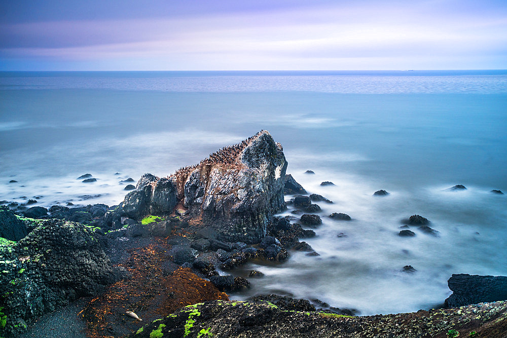 Cormorant Rock. Pointe Suzanne, Prince of Wales peninsula, Kerguelen archipelago.