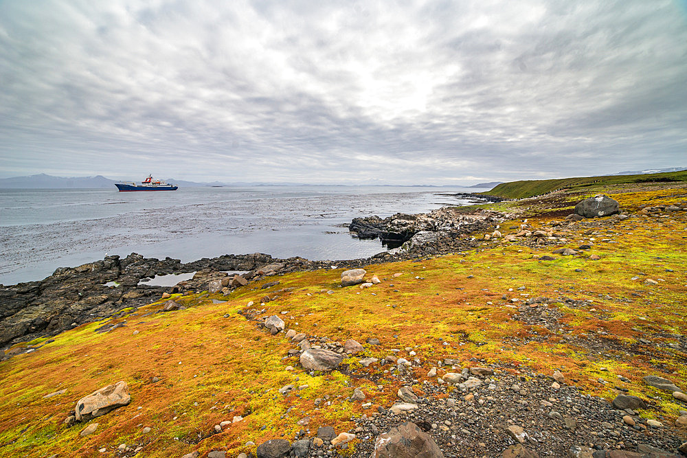 The Marion Dufresne, stationed in Morbihan Bay in front of the Port-aux-Francais base, preparing to weigh anchor for Amsterdam Island. Kerguelen Archipelago