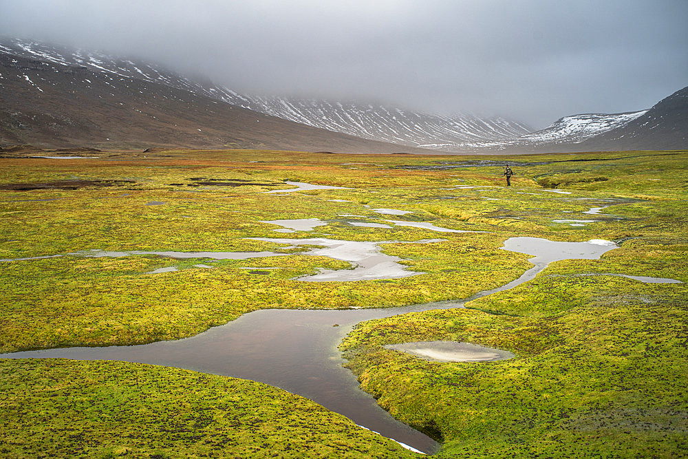 A highly marshy area, littered with holes more than a meter deep, known as "souilles". Baie Charrier, Courbet Peninsula, Kerguelen archipelago.