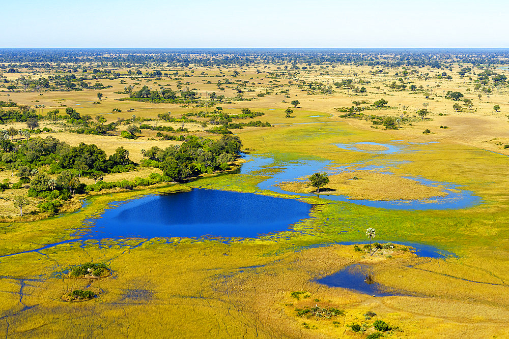 Breathtaking aerial view of the Okavango Delta near Maun in Botswana, showing vibrant wetlands, blue lagoons, and golden grasslands. Ideal for use in nature, travel, and wildlife photography projects.
