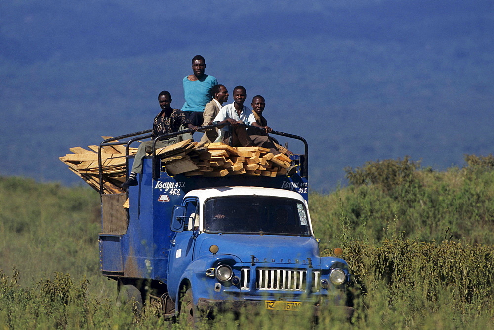 truck with workers and fresh cut timber Kilimanjaro