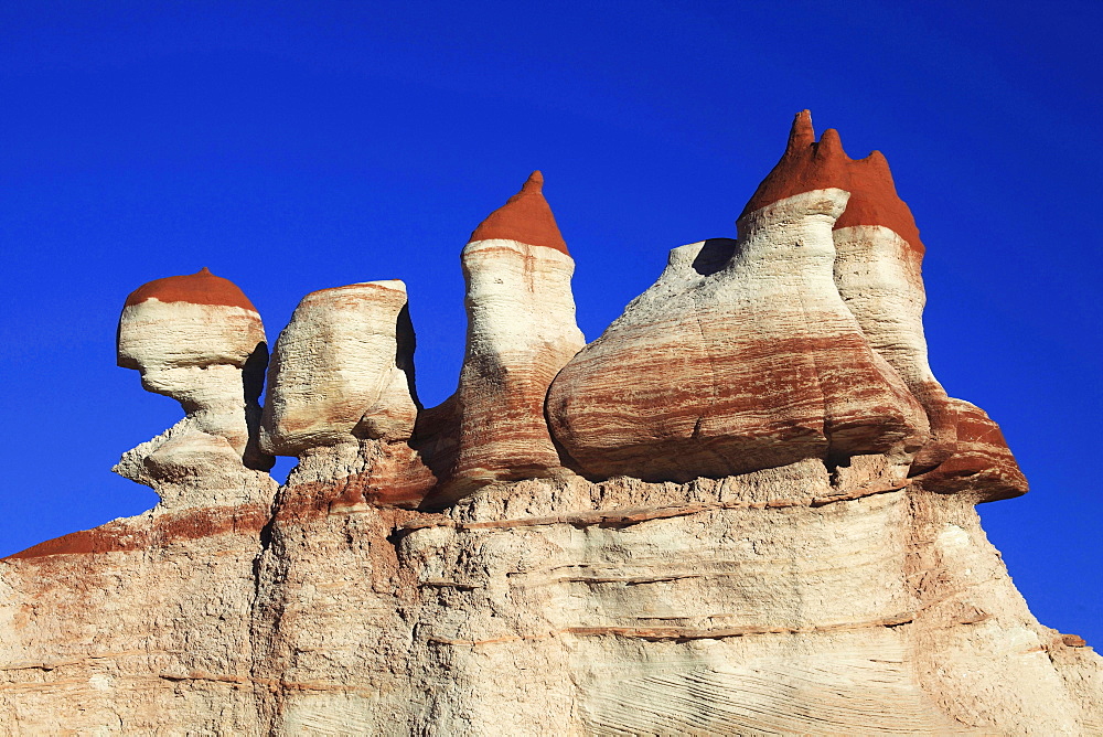 Blue Canyon hoodoos hoodoo stone spire of rock formed by wind Arizona AZ US North America America