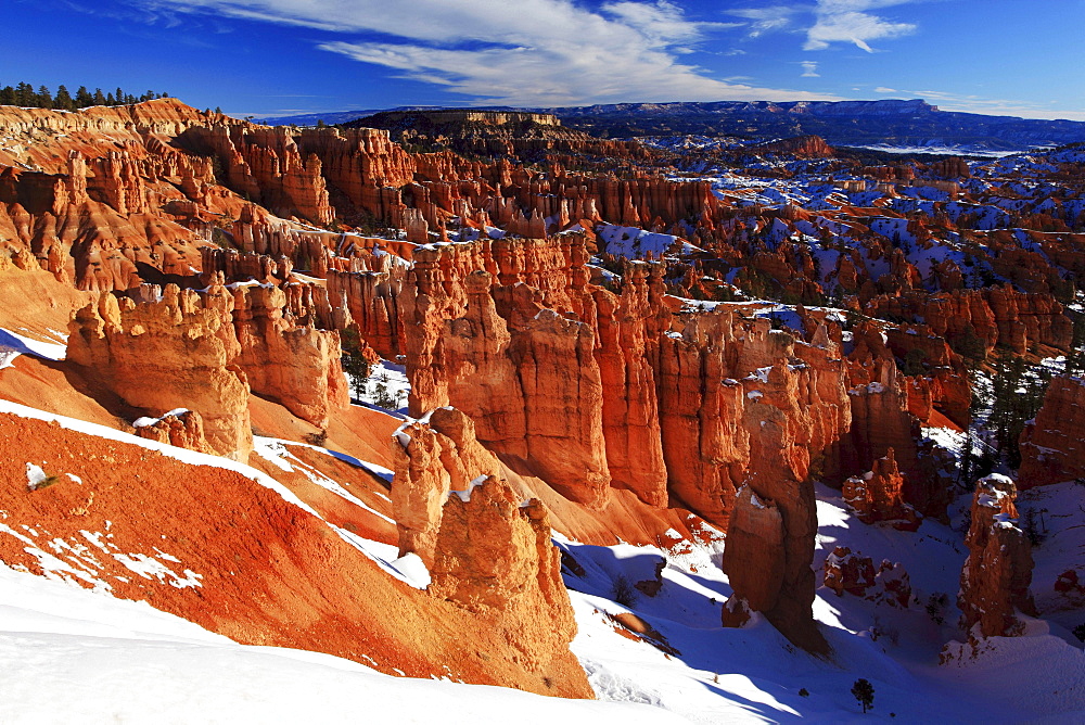 Bryce Canyon National Park hoodoos hoodoo rock stone pillars spire of rock formed by weathering in snow winter erosion United States United States of America North America America
