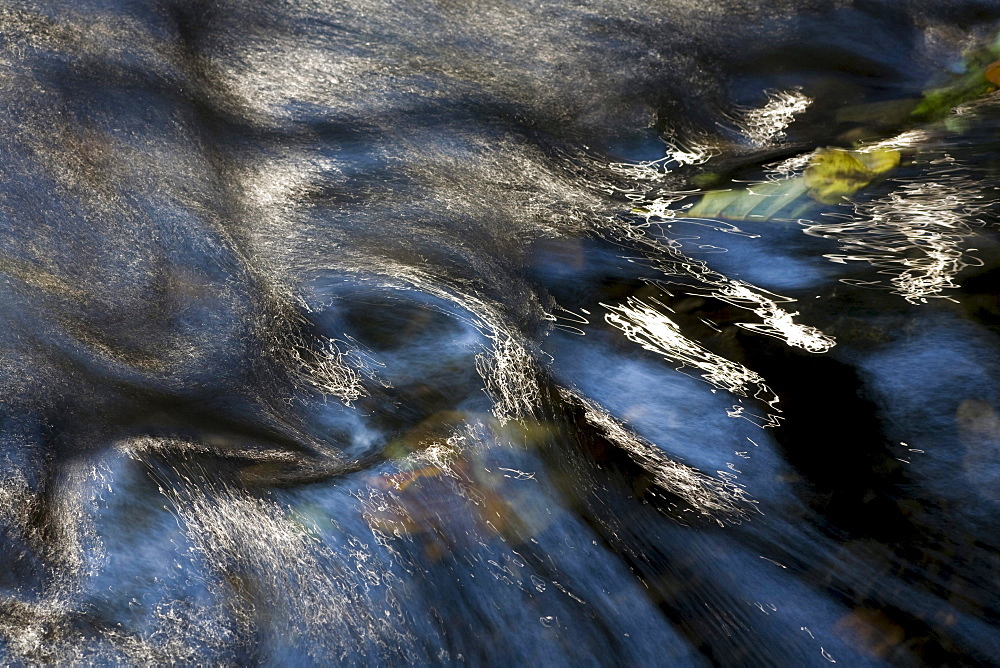 water floating over stones and leaves in brook autumn Jocketa Vogtland Saxony Germany