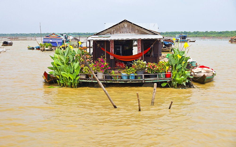 Chong Khneas floating village Tonle Sap Lake Siem Reap province Cambodia Asia Animals