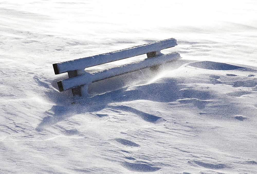 bank covered in snow winter Hornisgrinde Black Forest