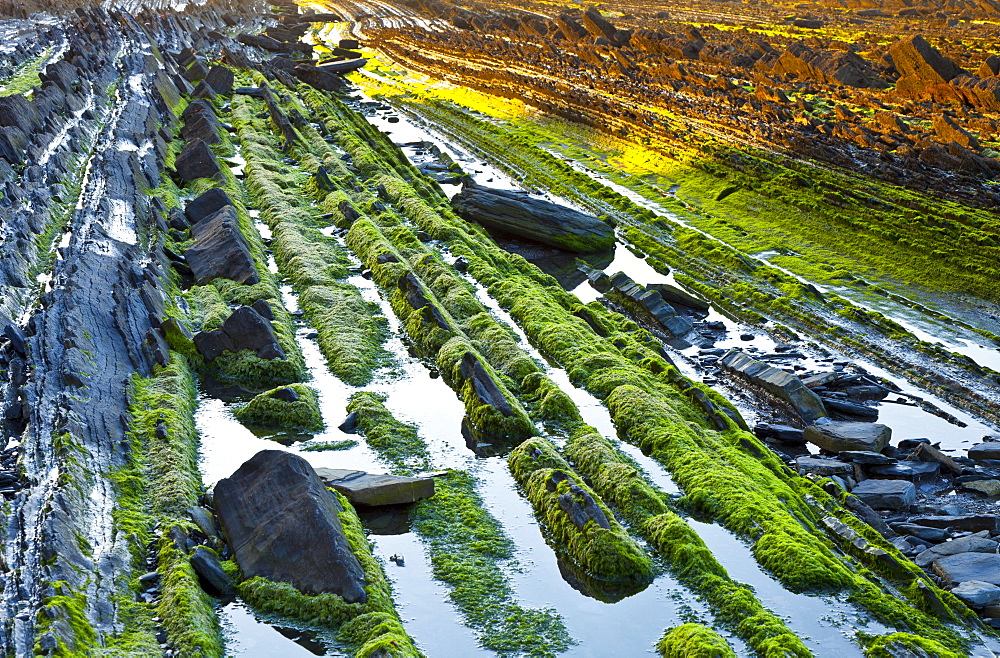 flysch at Sakoneta beach sedimentary rocks at the Basque coast between the villages of Deba and Zumaia UNESCO Geopark Nature Ocean Scenery Travel