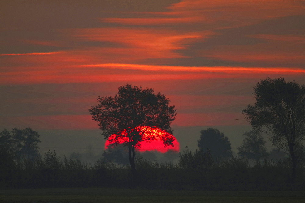 sunrise over marsh lowland autumn mood