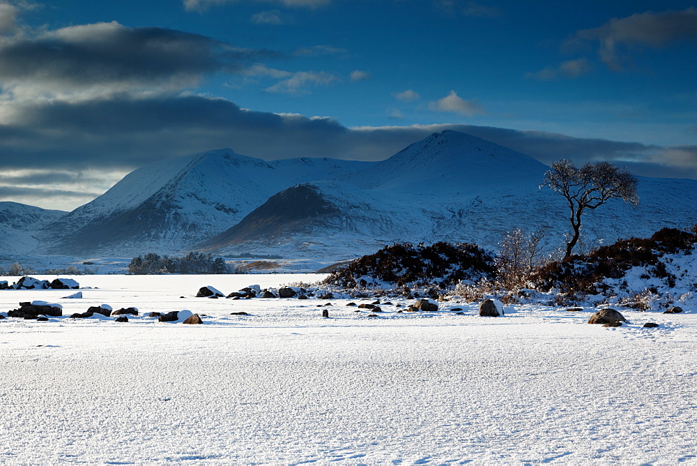 winterland West Highlands Scotland  