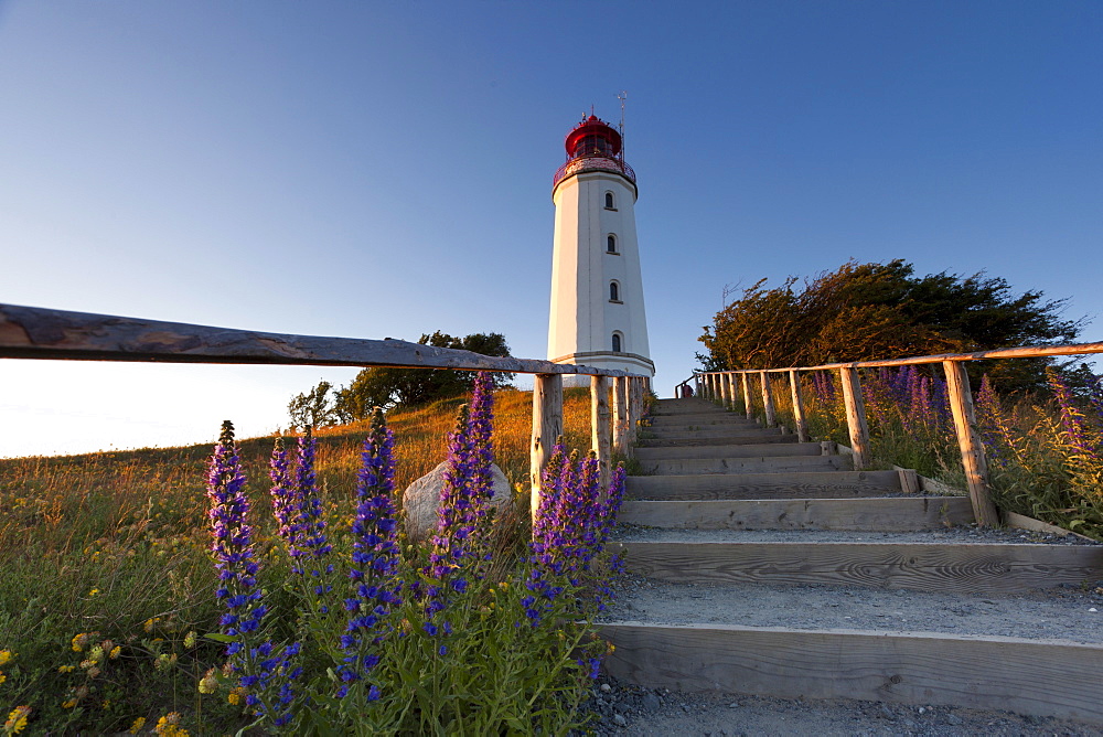 landscape coast steps leading to lighthouse Hiddensee Mecklenburg-Western Pomerania