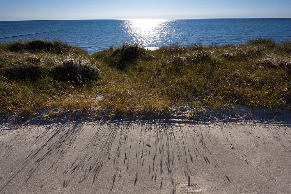 landscape coast beach sea sun backlight Hiddensee Mecklenburg-Western Pomerania