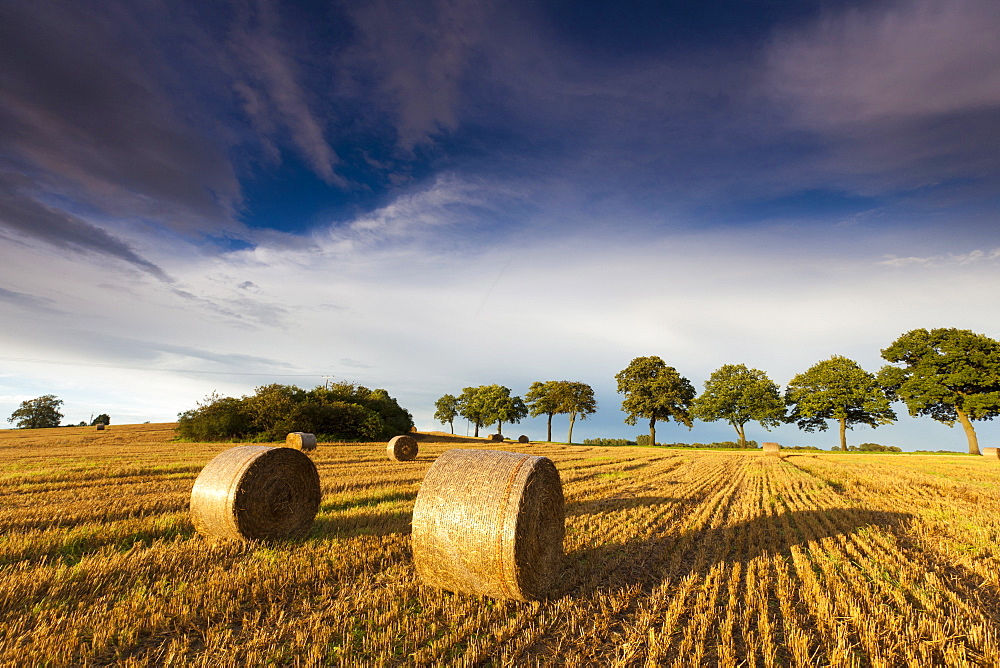 harvested grain field stubble field with straw bales Saxony Germany Europe