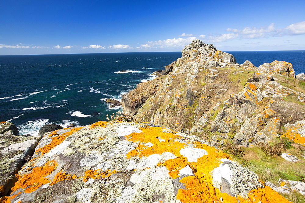 Lichen covered rocks on Gurnards Head near Zennor, Cornwall, UK.