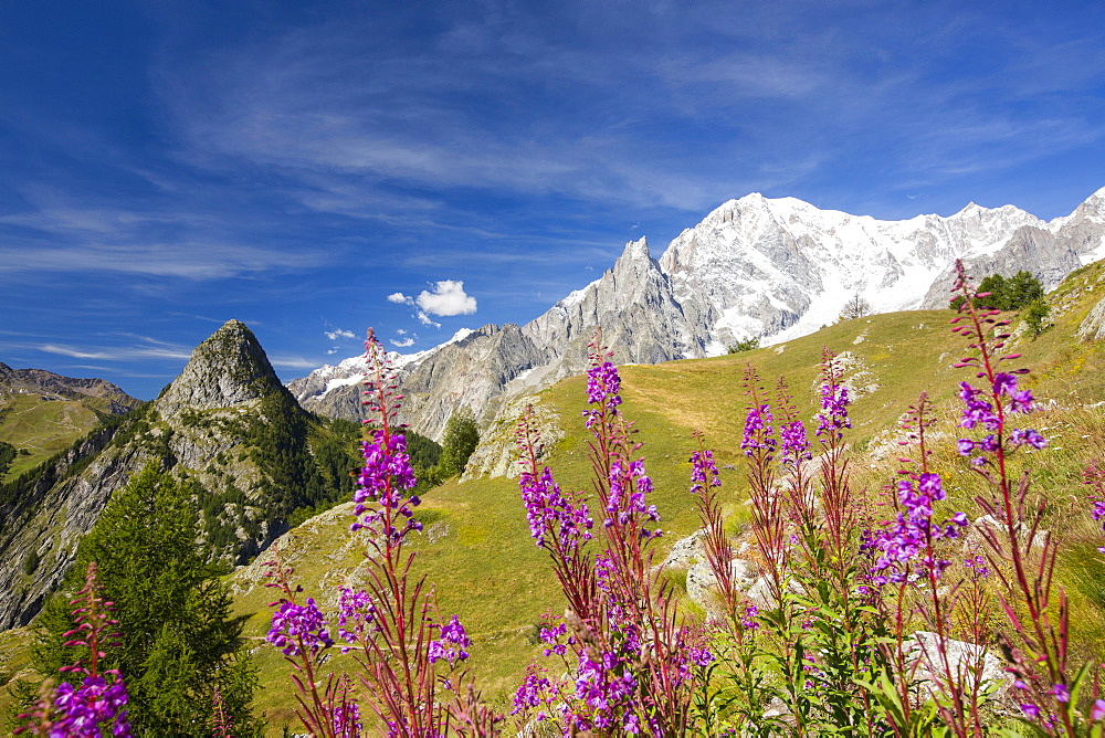 Mont Chetif and the mont blanc range from Refuge Bertone, above Courmayeur, Italy.