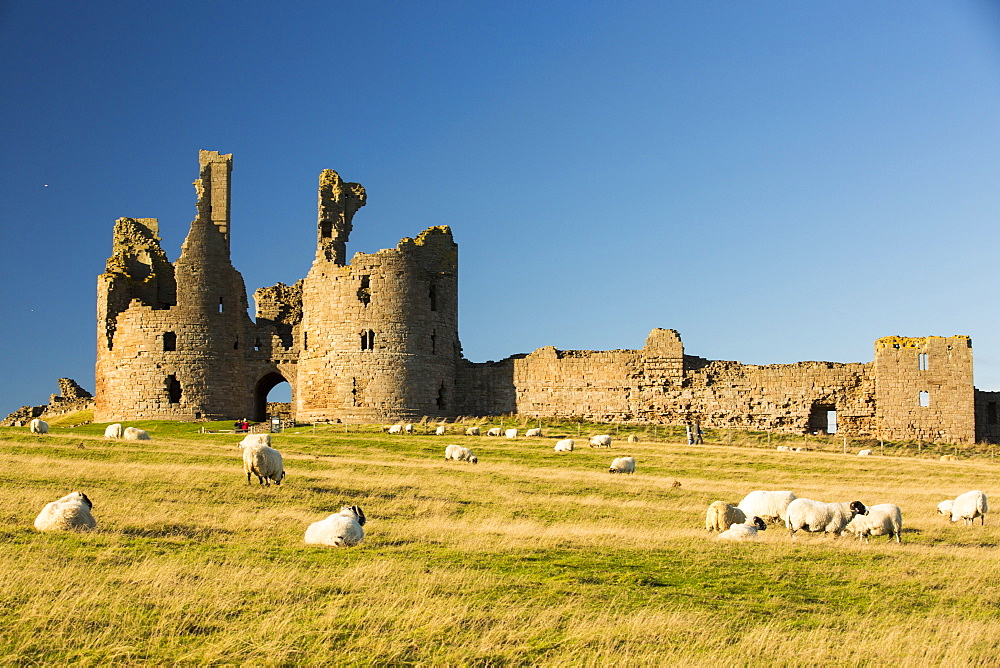 Dunstanburgh castle on Northumberlands coast near Craster.